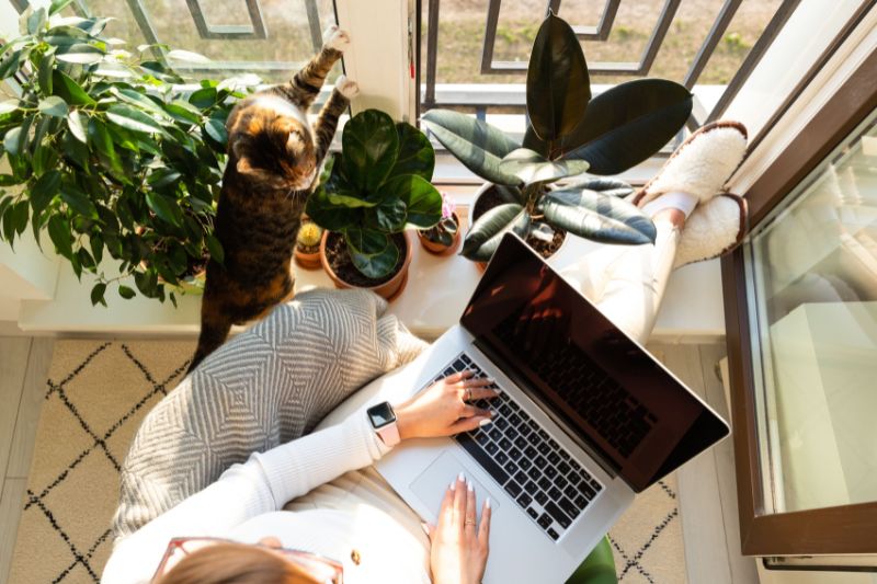 Lady sitting on her balcony with her cat, working on a laptop and exploring tax deductions, including whether rent is tax deductible.